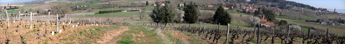 les grandes terres